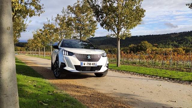 Peugeot 2008 d'occasion