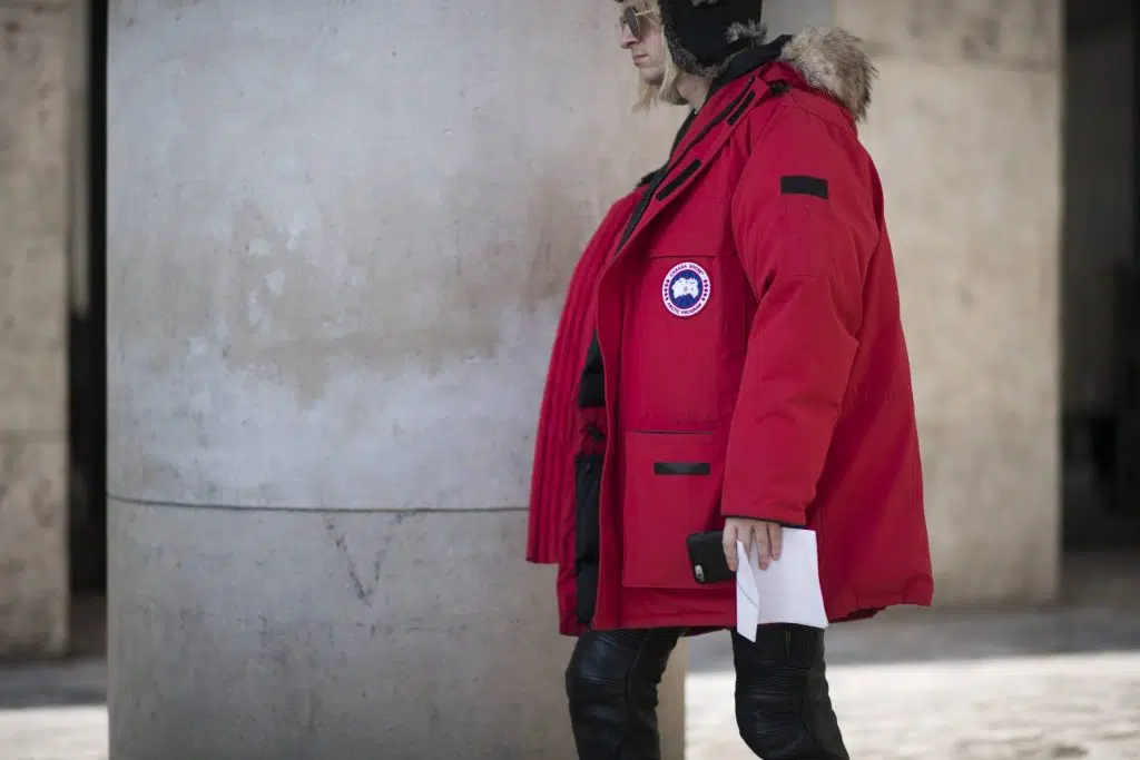 Canada Goose
